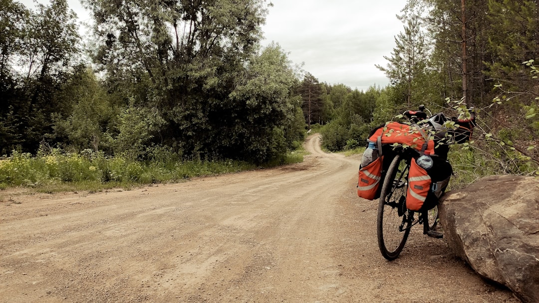 How to Choose the Perfect Bike for Touring Adventures How to Choose the Perfect Bike for Touring Adventures